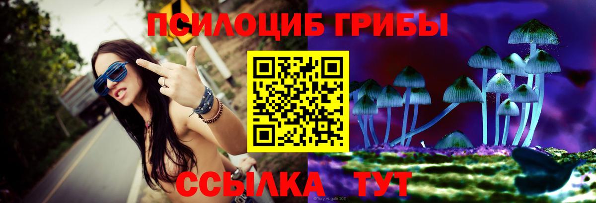 Галлюциногенные грибы прущие грибы  Галлюциногенные грибы MAGIC MUSHROOMS  Кингисепп  Вход с VPN 